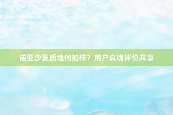 诺亚沙发质地何如样?用户真确评价共享